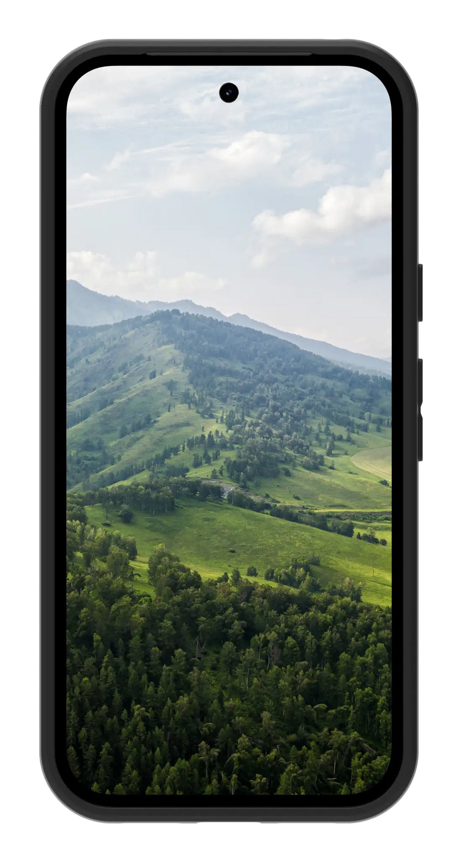 dbramante1928 Greenland Backcover – für Google Pixel 10a, Kunststoff, schwarz