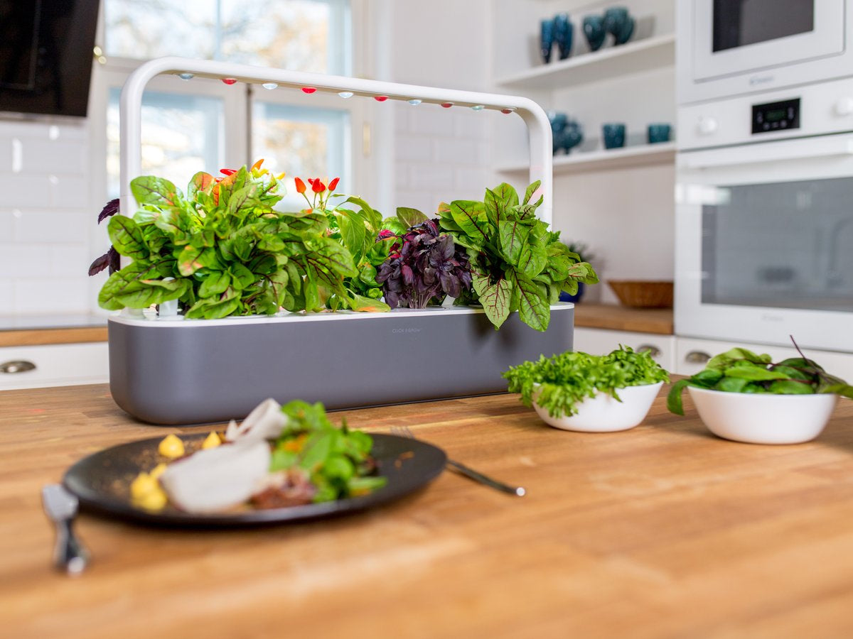 Click & Grow Smart Garden 9 – 9 Ablagen, integrierte LED-Beleuchtung – Kunststoff, Beige