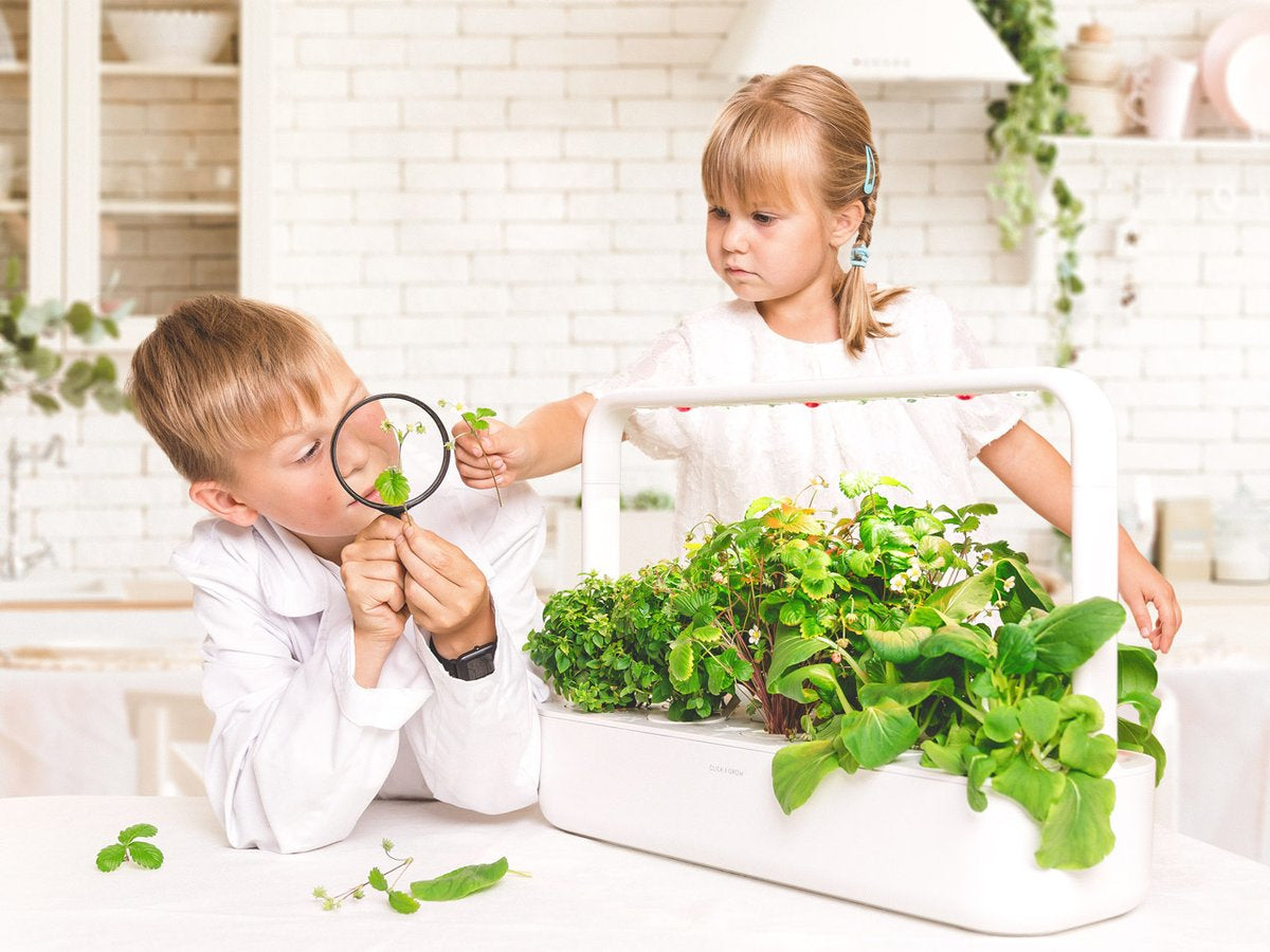 Click & Grow Smart Garden 9 – Zubehör – 9 Ablagen, Integrierte Beleuchtung, 4 l – Dunkelgrau