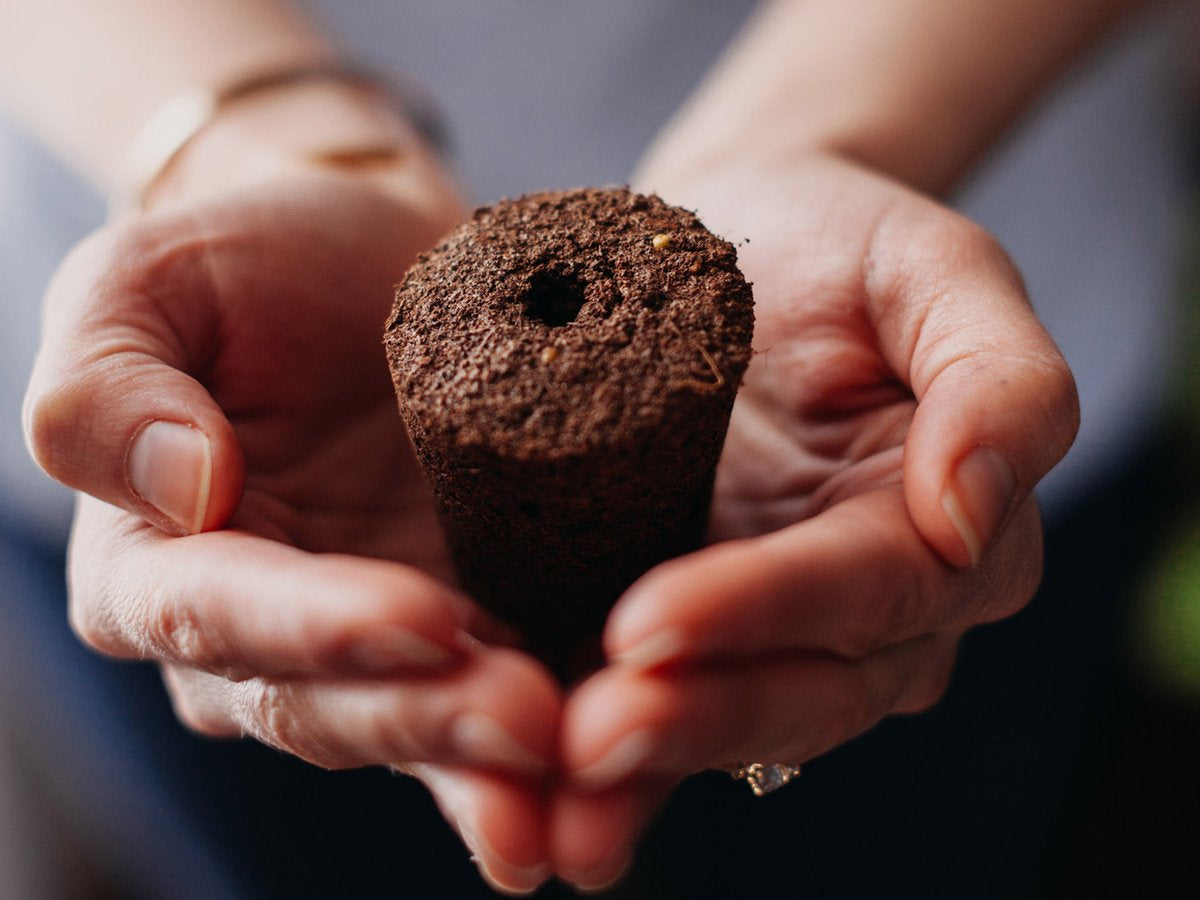 Click & Grow Smart Garden 9 – Zubehör – 9 Ablagen, Integrierte Beleuchtung, 4 l – Dunkelgrau