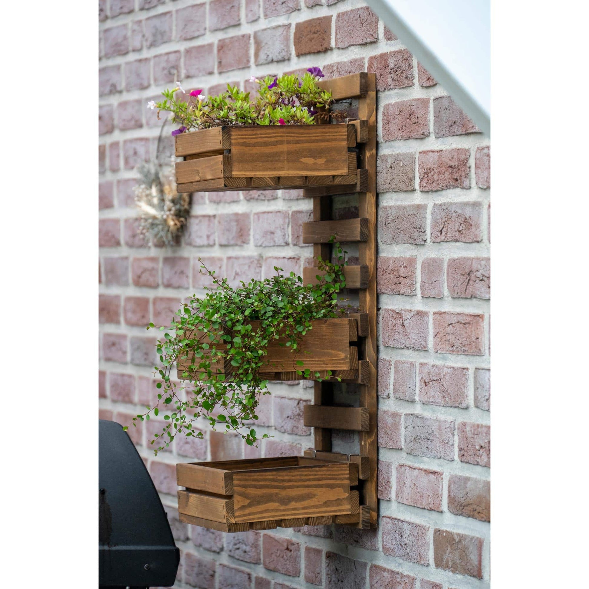 Dobar Wandregal, 58388FSCE – Wandmontage – 3 Böden – 29,5 × 26,5 × 74,5 cm – Braun – Kiefernholz – 1 Stk.