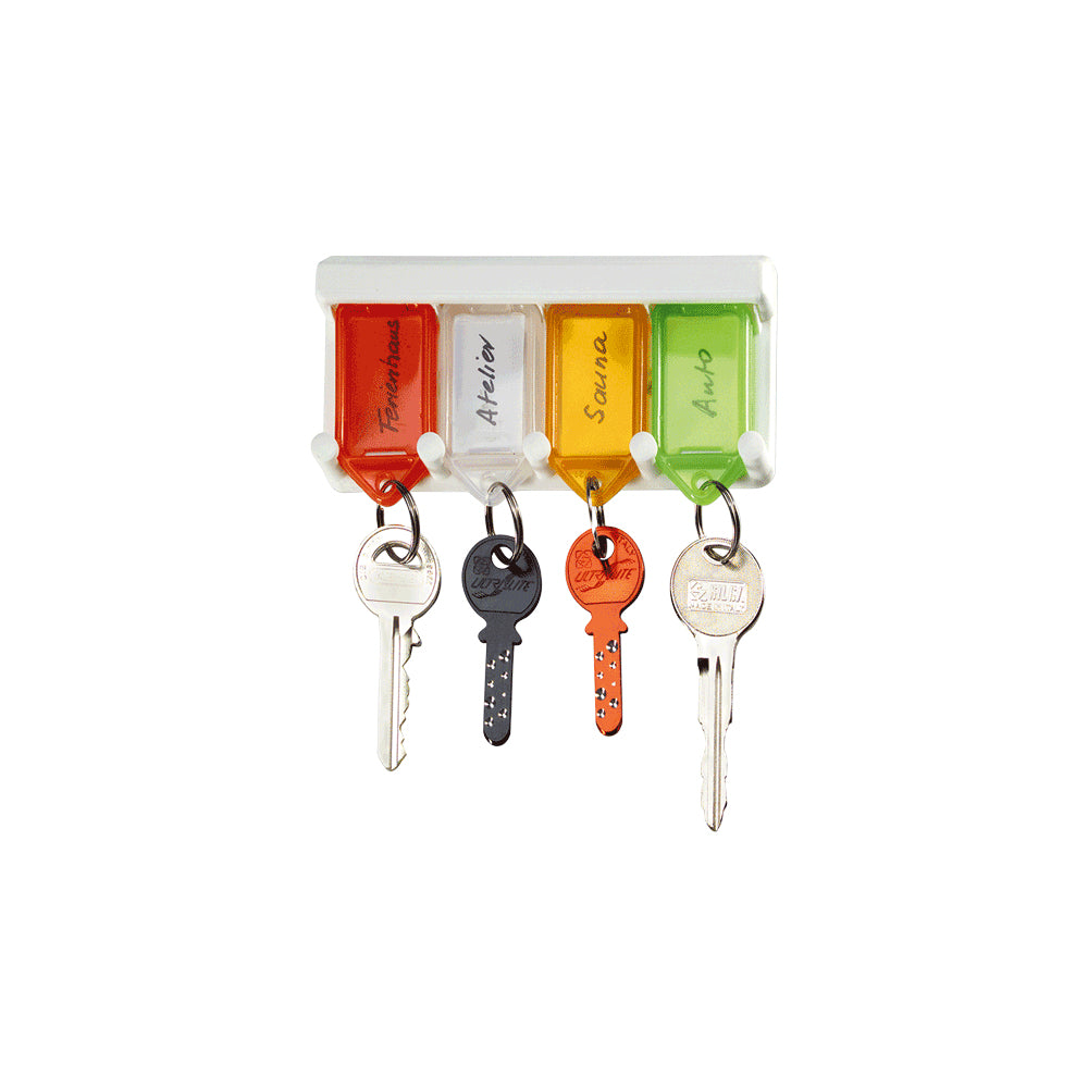 Rieffel Schlüsselschild Key Tag A15821 – beidseitig beschriftbar, Beschriftungsfeld 38 × 22 mm, 4er-Pack