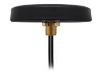 Teltonika PR1KCL25 – Dachantenne, 0,698–0,96/1,71–2,69 GHz, 2,5 dBi, SMA (männlich), 3 m, IP67, Aussenbereich