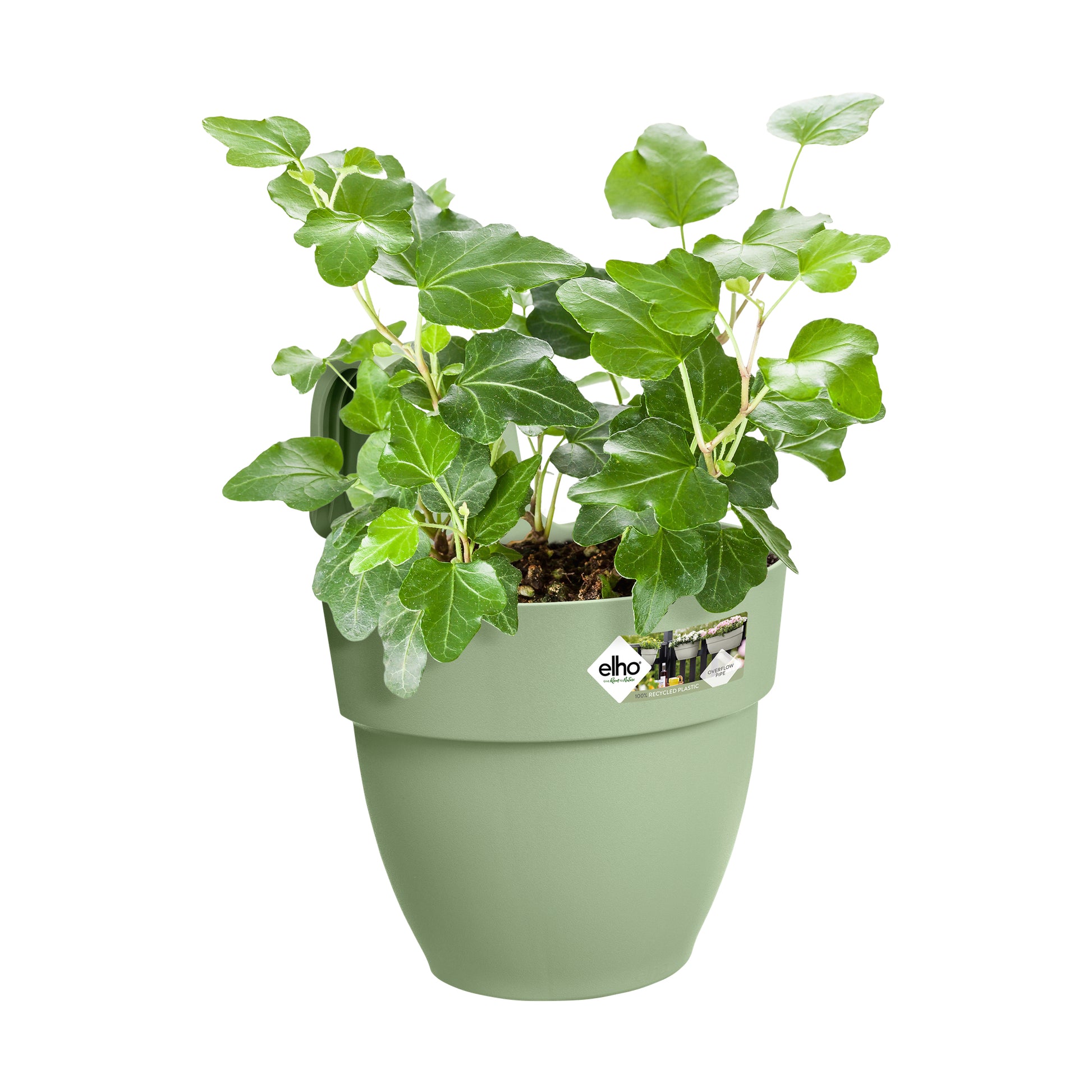 elho Hänge-Blumentopf – 2800 ml – Kunststoff, Grün