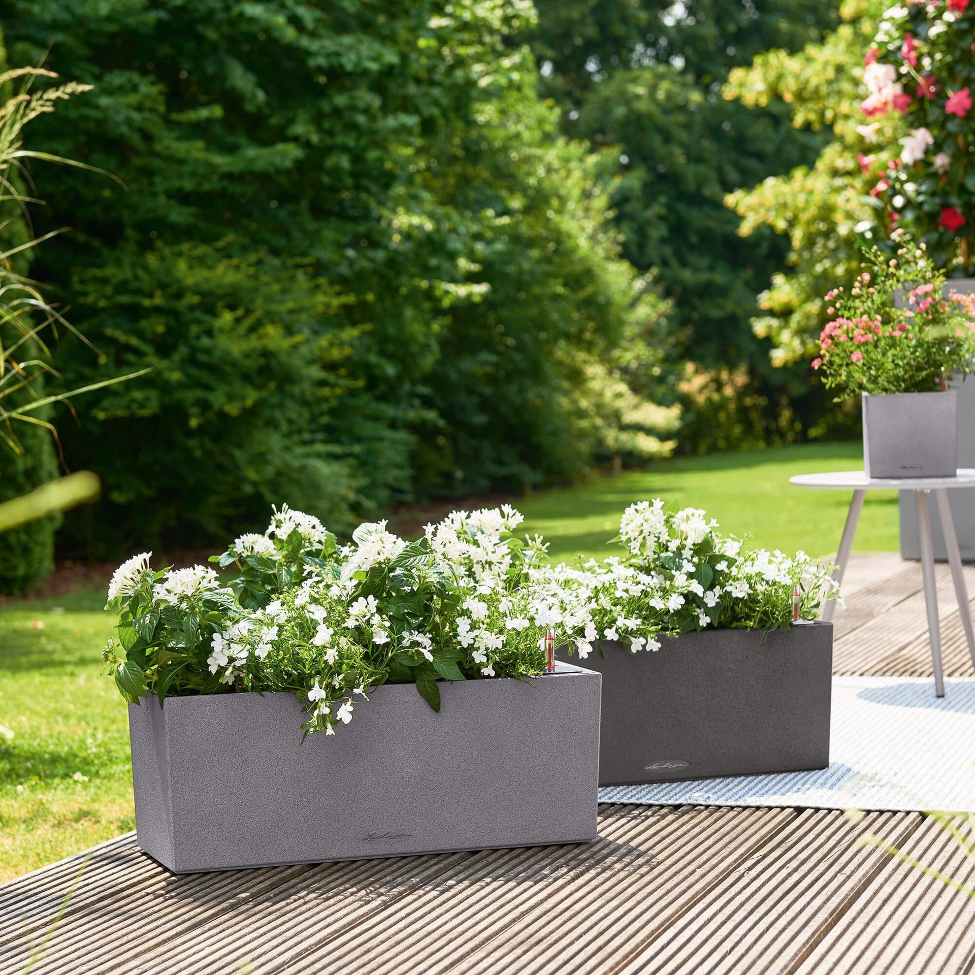 LECHUZA Blumentopf – 50 × 19 × 19 cm – Kunststoff, beige