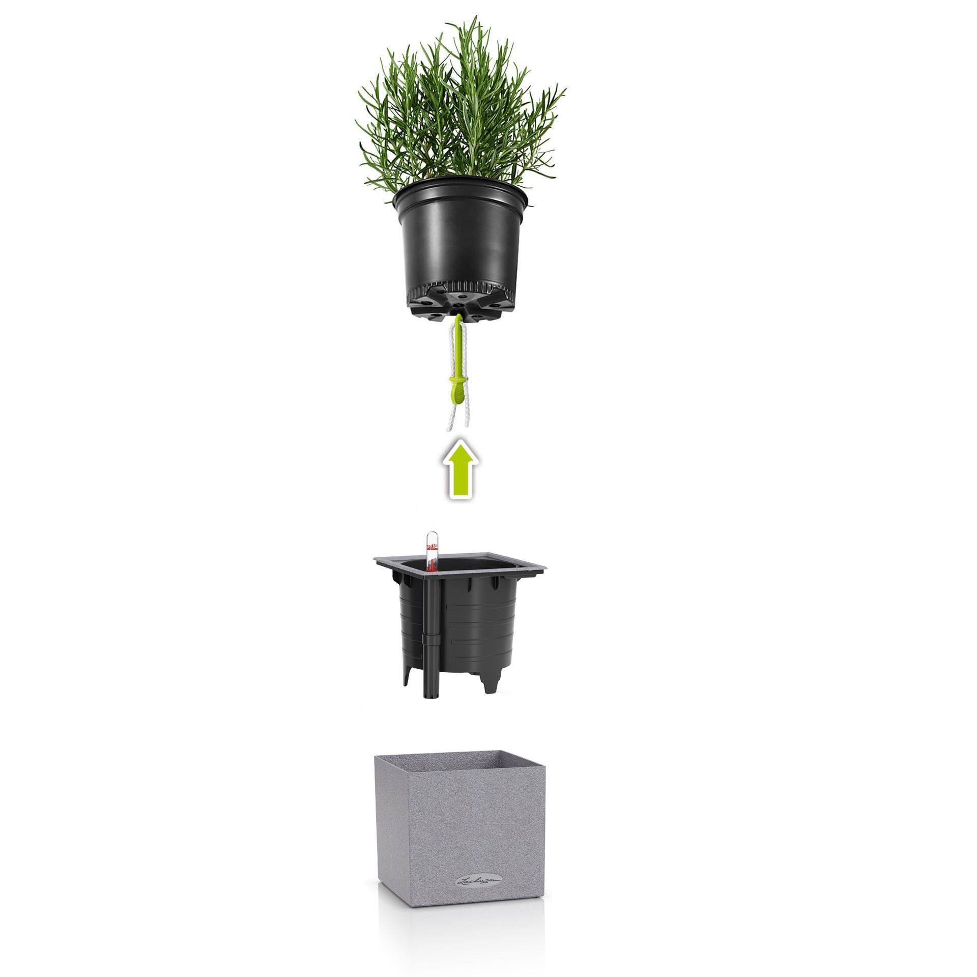 LECHUZA CANTO Stone Topfpflanzer – 14 × 14 × 14 cm – Kunststoff, grau