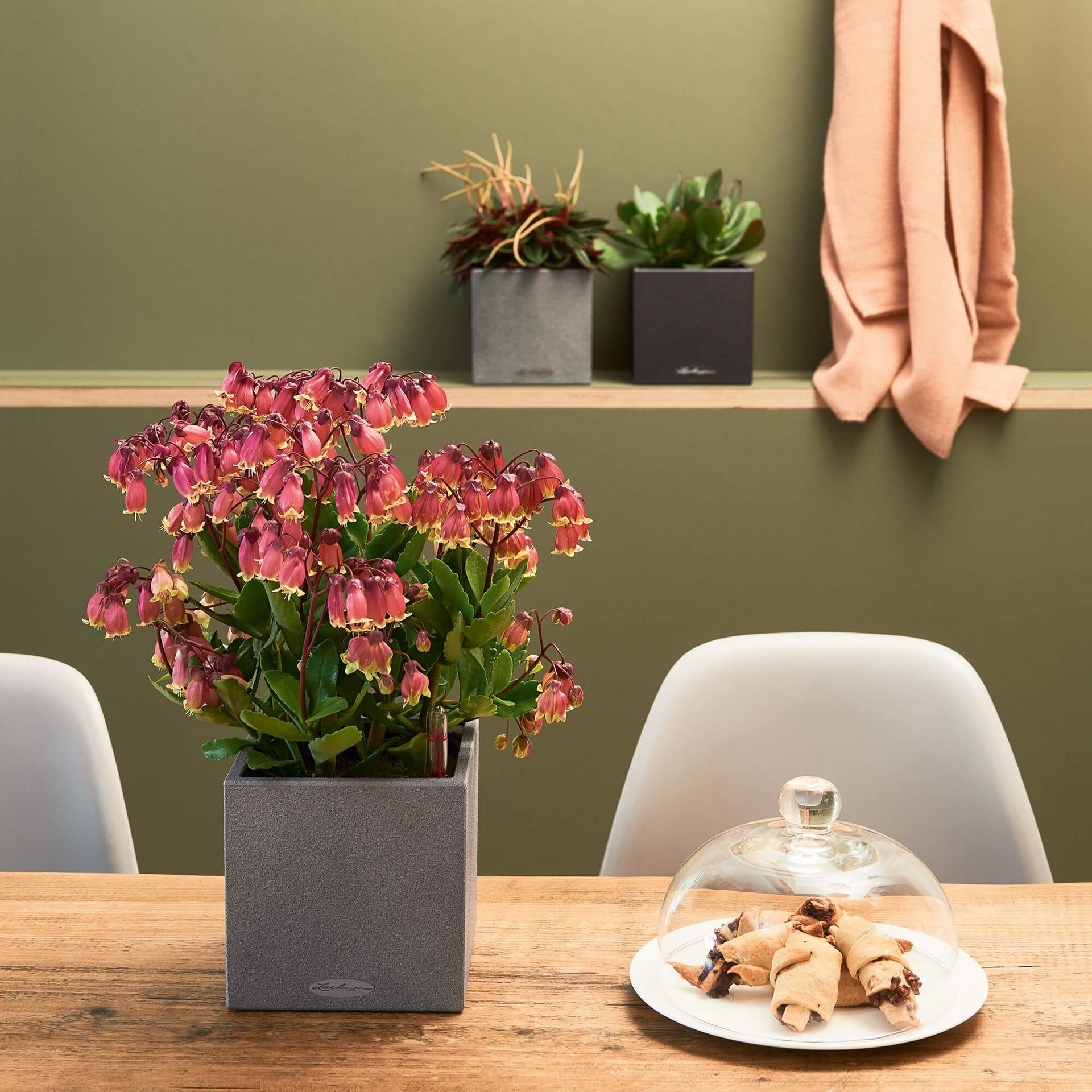 LECHUZA CANTO Stone Topfpflanzer – 14 × 14 × 14 cm – Kunststoff, grau