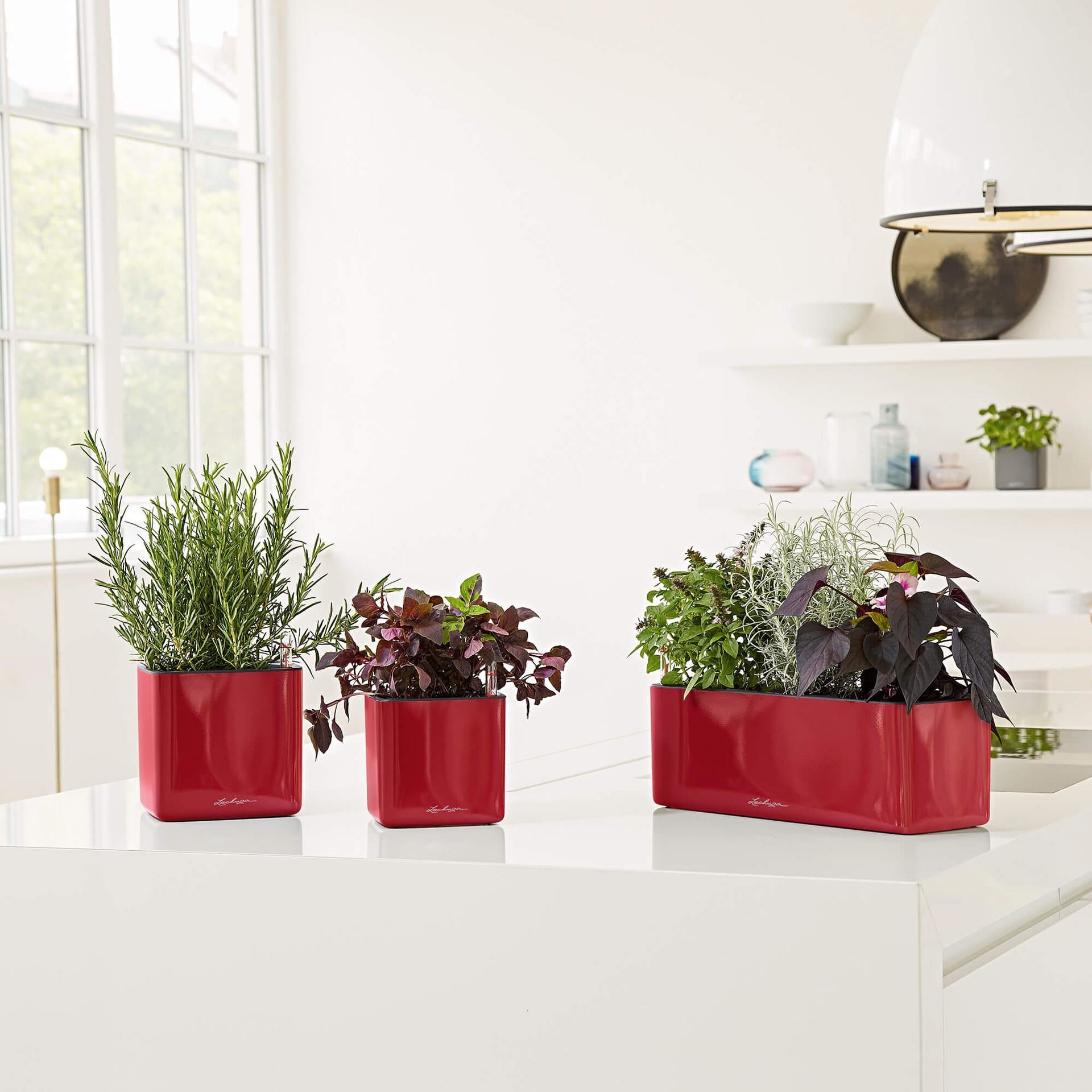 LECHUZA CUBE Glossy Triple Topfpflanzer – 14 × 14 × 40 cm – Kunststoff, rot