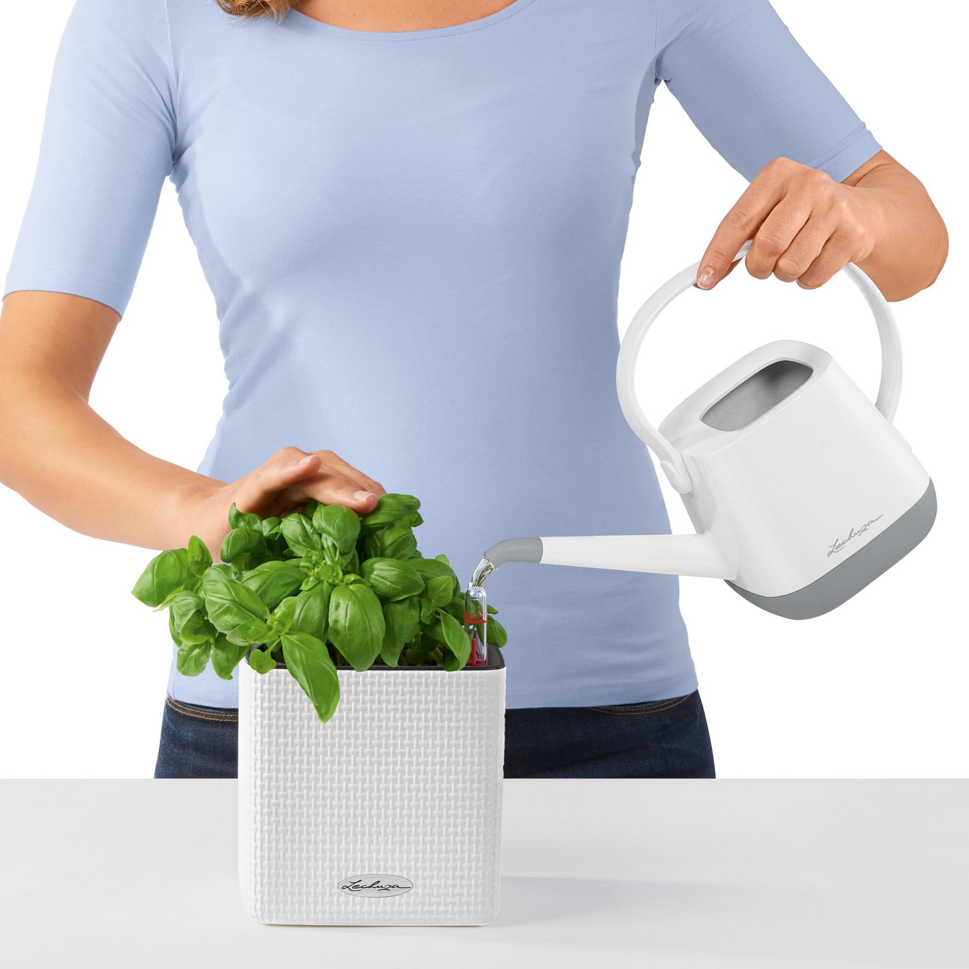 LECHUZA Topfpflanzer – für Innen und Aussen – 15 × 15 × 50 cm – Polypropylen (PP), weiss