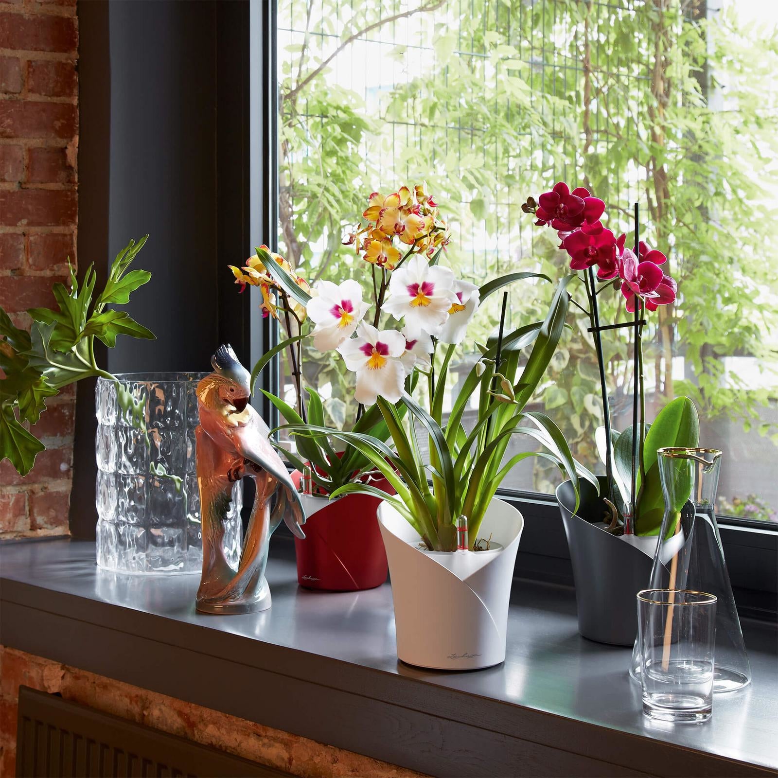 LECHUZA ORCHIDEA Blumentopf – Ø 17,9 × 20 cm – Kunststoff, Schwarz matt, mit automatischer Bewässerung