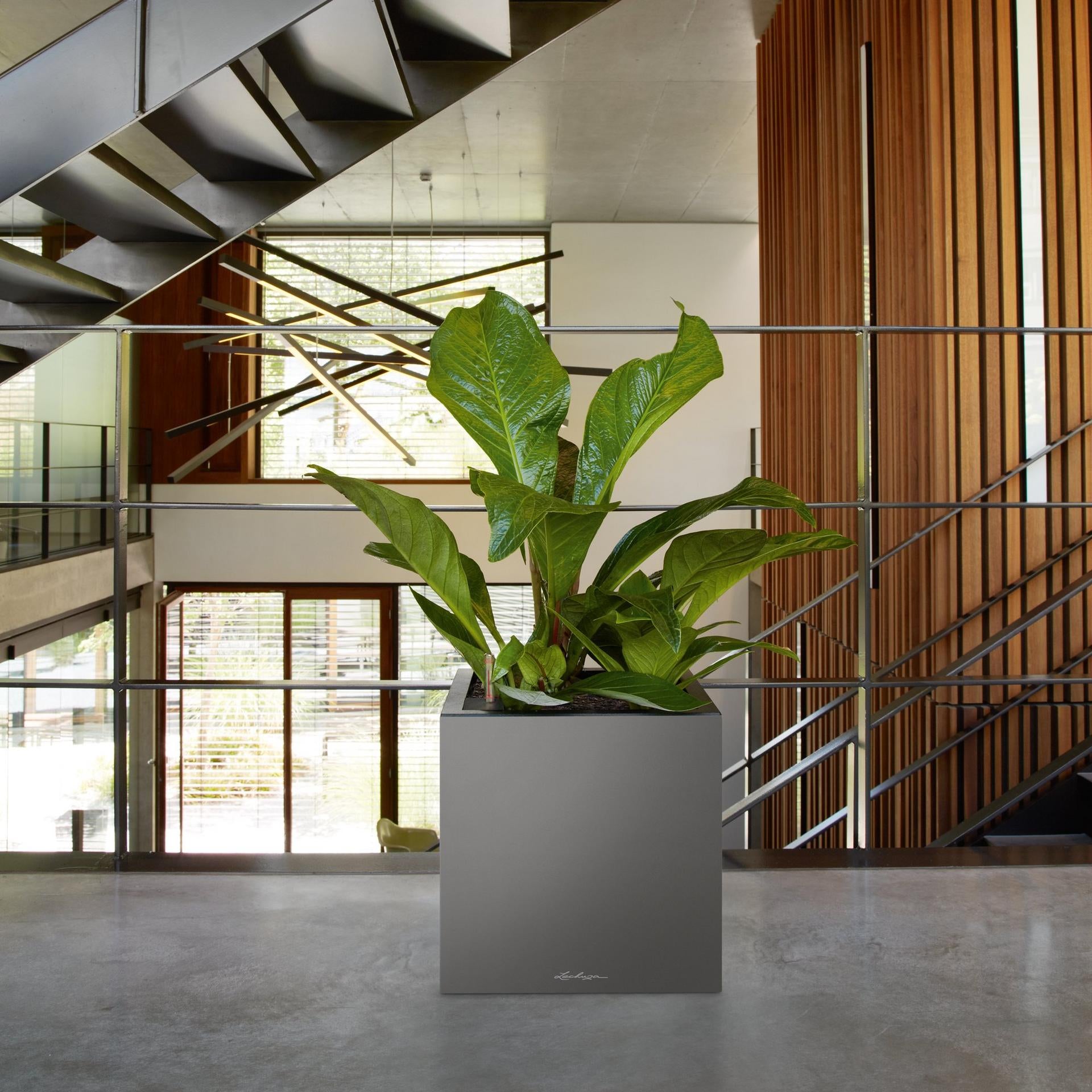 LECHUZA CANTO Premium Pflanzgefäss – 40 × 40 × 40 cm – Kunststoff, anthrazit