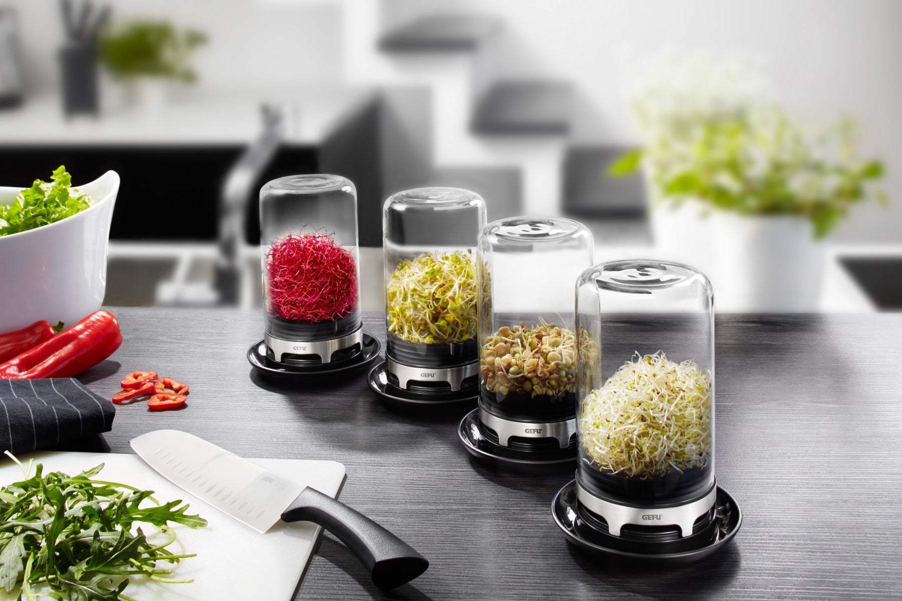 GEFU BIVITA – Sprossenglas 750 ml, Ø 13 × 18,8 cm, Glas (Borosilikat), Schwarz