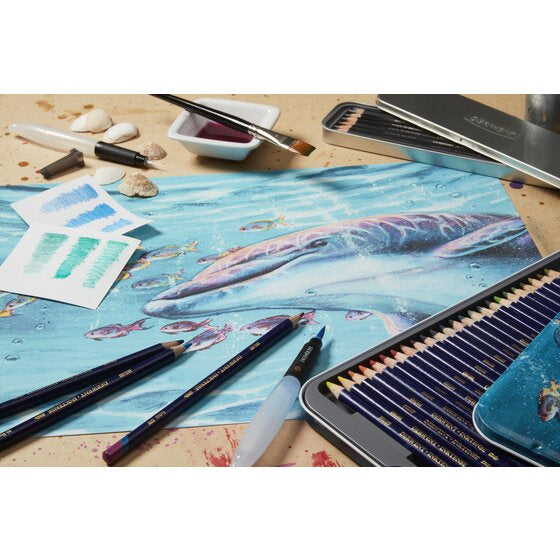 Derwent Professionelle Aquarellfarbstifte – 12 Stk., deckend, mit Federmäppchen