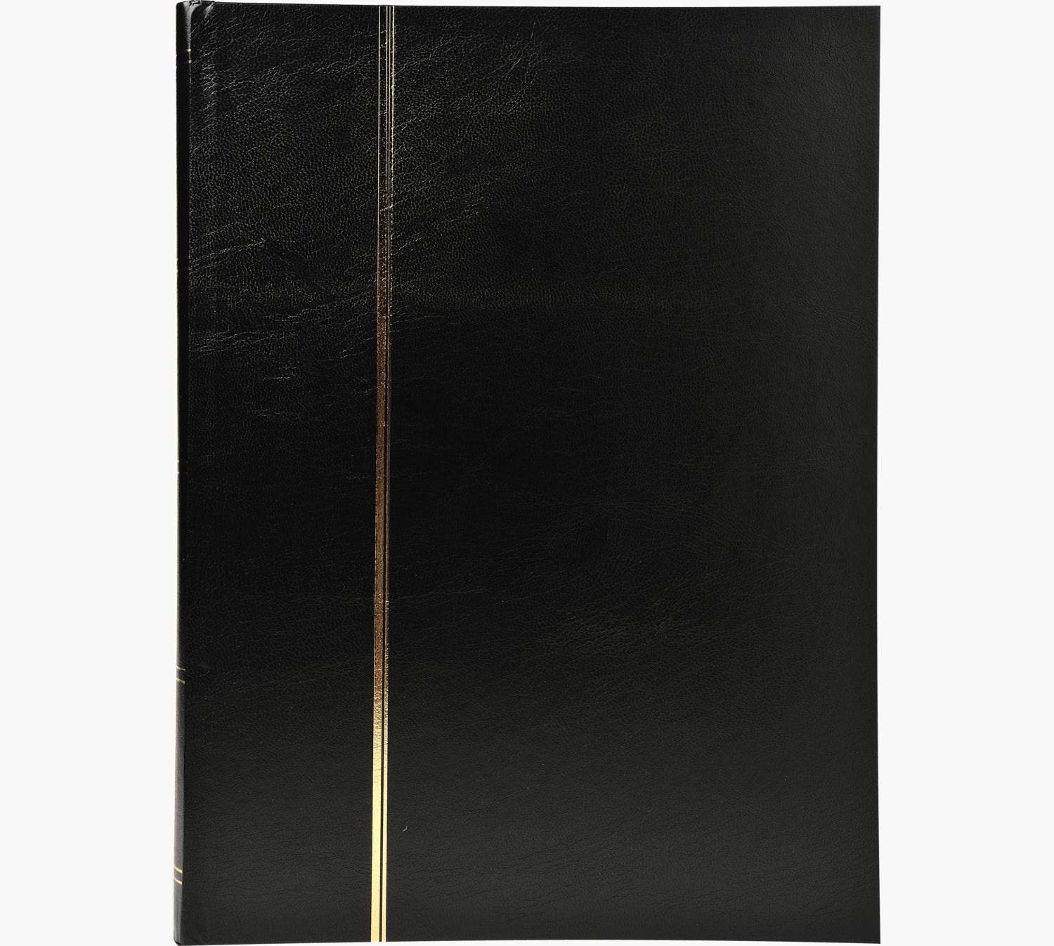 Exacompta Einsteckalbum, 16 Seiten, 22,5 × 30,5 cm, Schwarz, Kunstleder