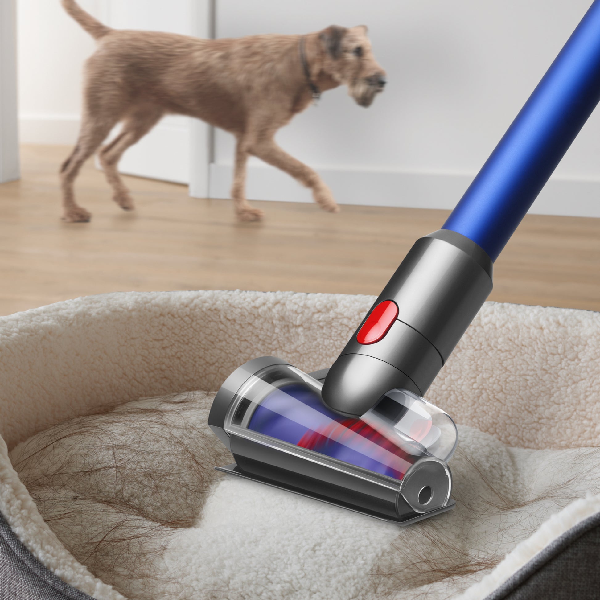 Dyson Haardüse – silber, 1 Stück, für V7/V8/V10/V11/V15 und andere