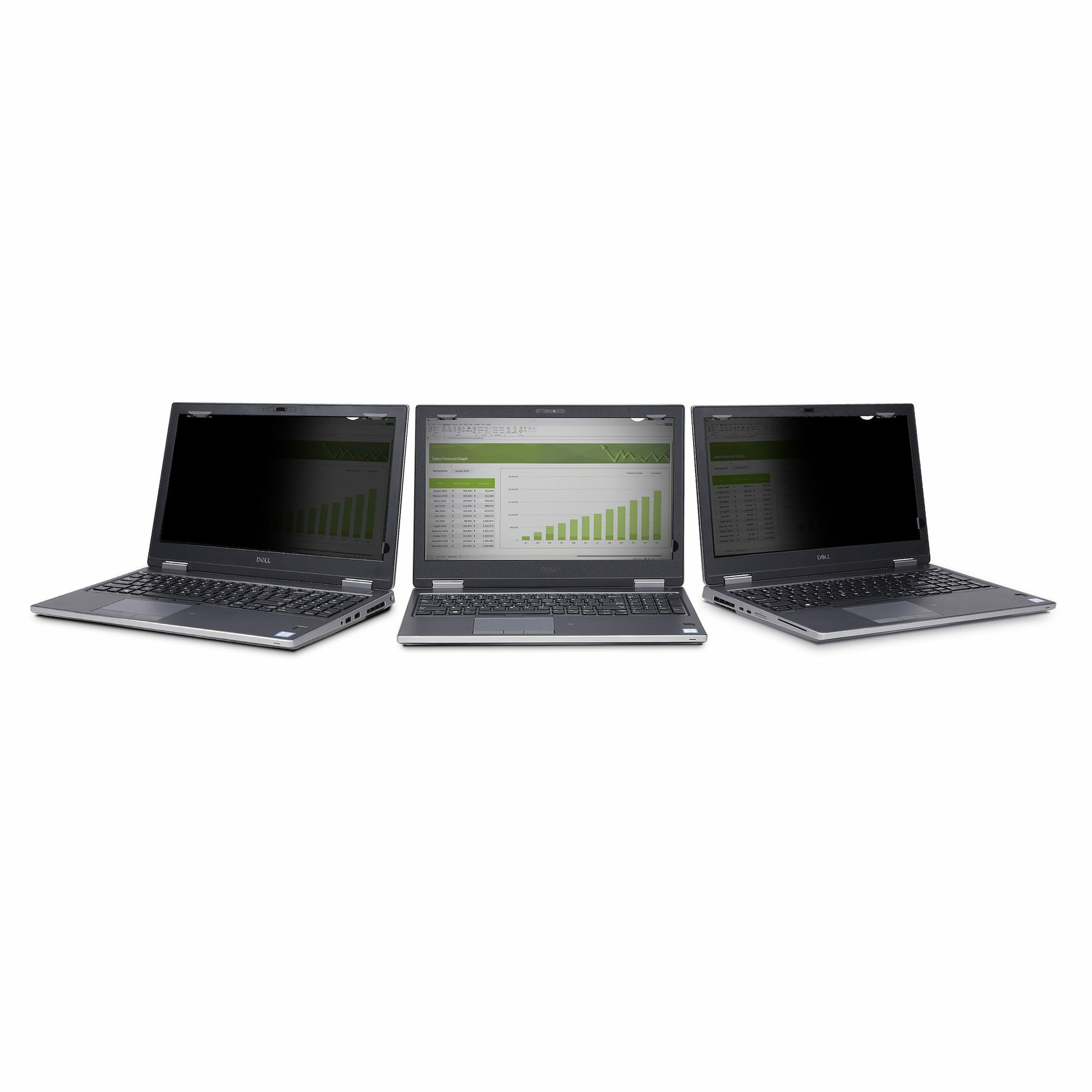 StarTech.com Displayschutz für 13,3" Laptops