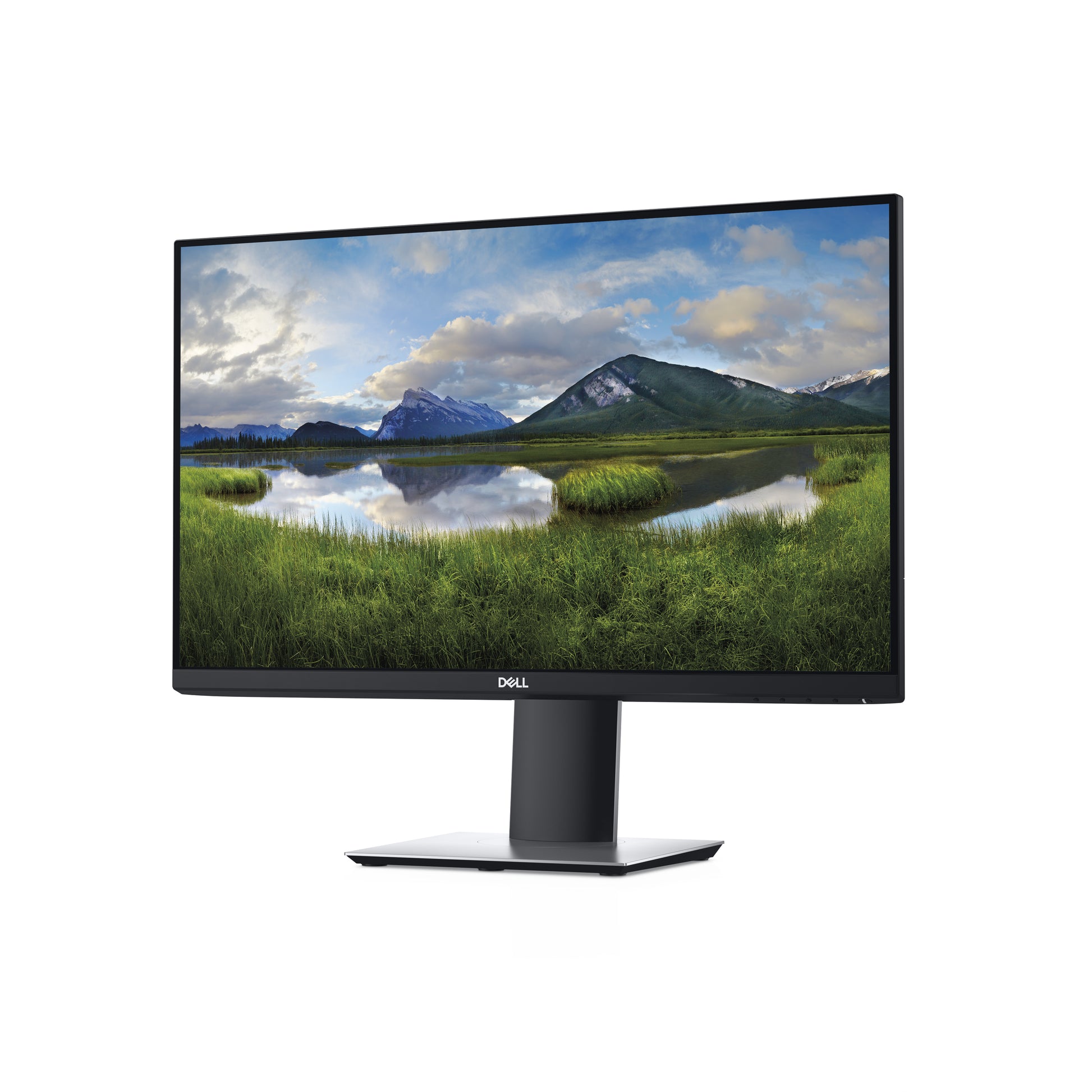 DELL Monitor, 24", 1920 × 1080 (Full HD)