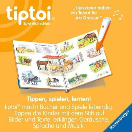Ravensburger Lernbuch – Wir entdecken: Pferde und Ponys, Hardcover, 16 Seiten, Deutsch, ab 4 Jahren