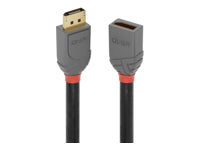 Lindy DisplayPort-zu-DisplayPort Verlängerungskabel - 1,0 m