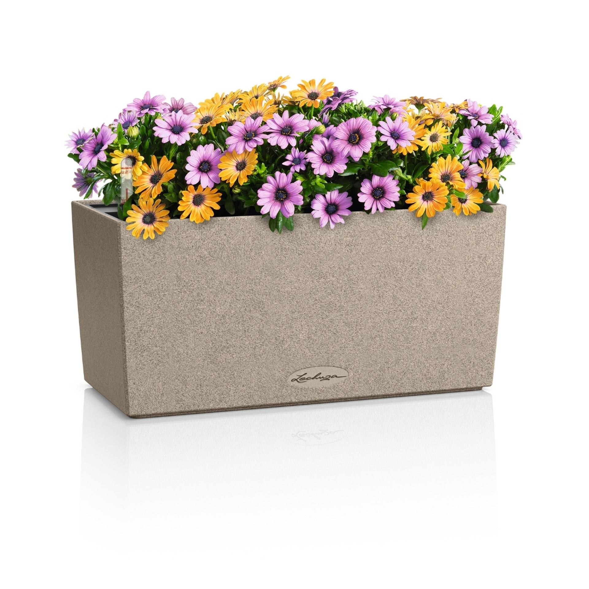 LECHUZA BALCONERA Stone 40 Pflanzgefäss – 6 l, 40 × 19 × 19 cm – Kunststoff, beige