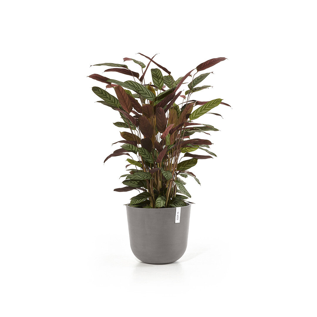 Ecopots Pflanzentopf – Ø 35 × 30,5 cm – Recycling-Kunststoff, Taupe