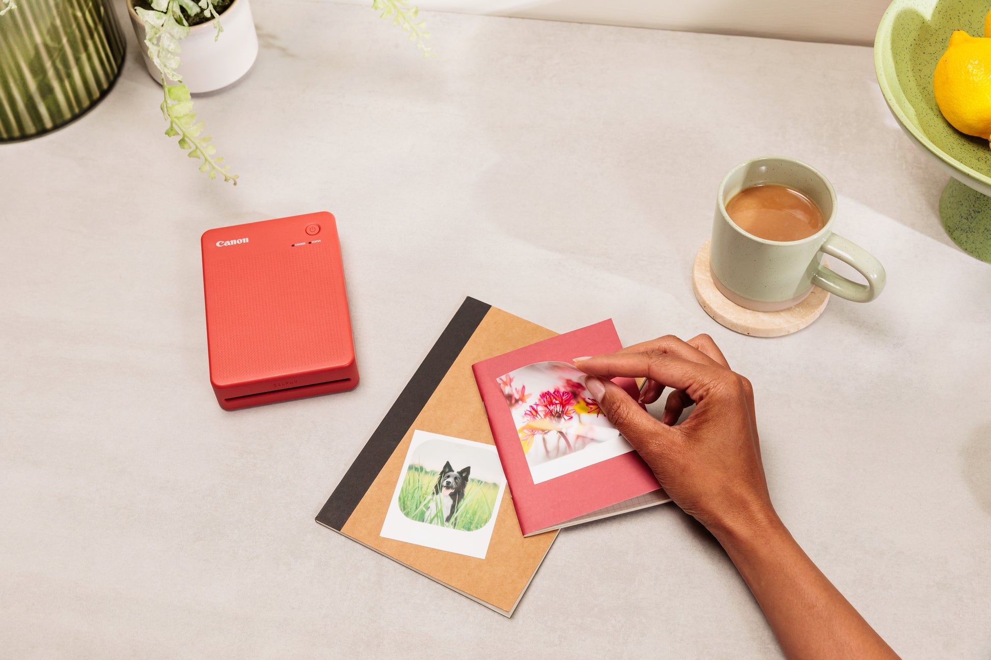 Canon SELPHY QX20 – Fotodrucker, Farbe, WLAN/USB, 287 × 287 dpi