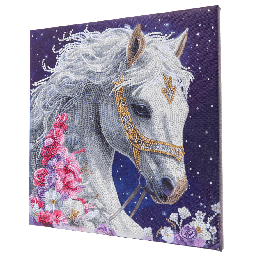 CRAFT Buddy Mystic Beauty – Diamond Painting Set – Pferd – 30 × 30 cm – ab 8 Jahren