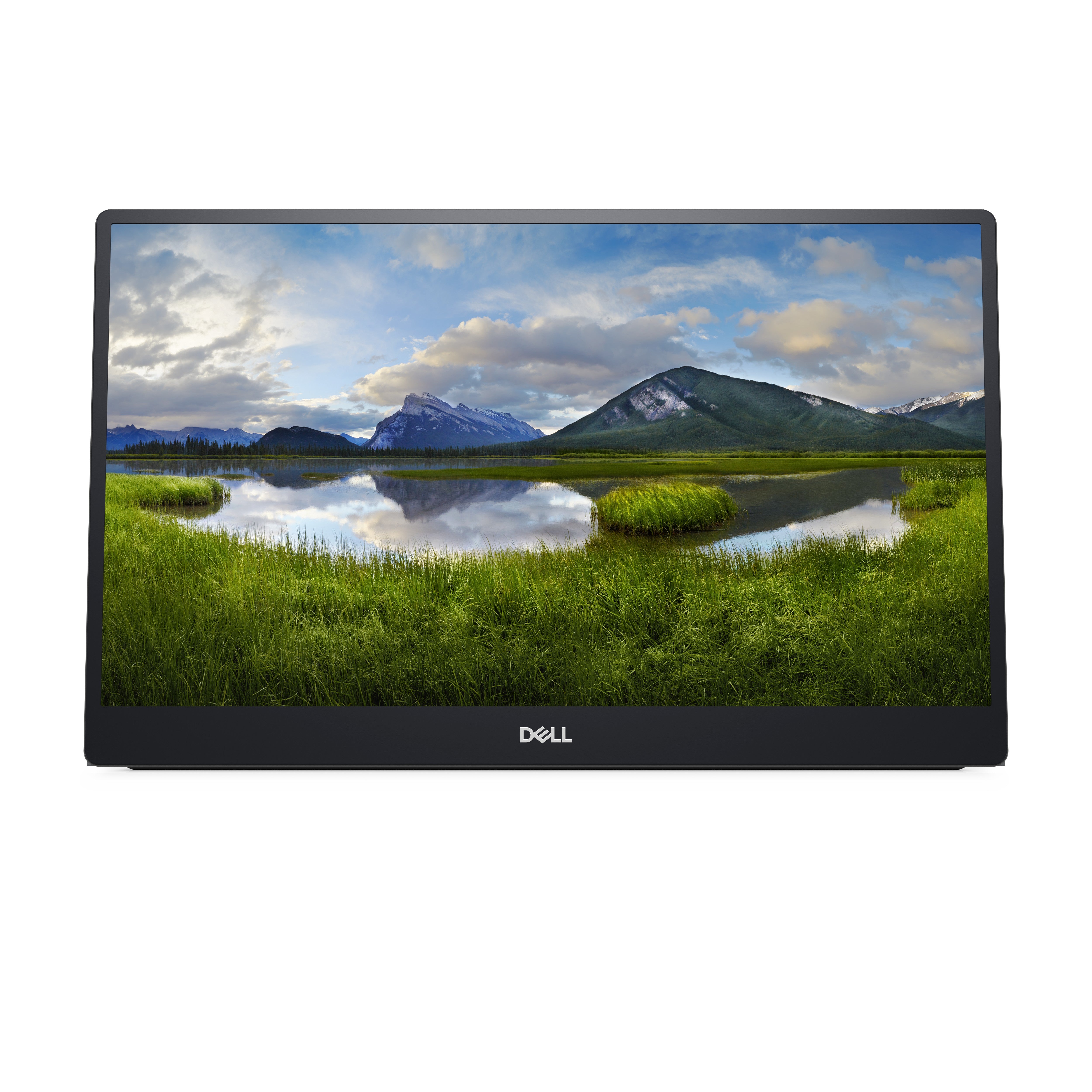 DELL P1424H – Portabler Monitor, 14", IPS, 60 Hz, 300 cd/m², 2× USB-C (DP Alt Mode, PD 65W), Grau