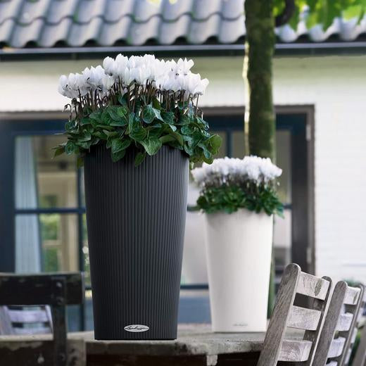 LECHUZA CILINDRO Pflanzgefäss – Ø 23 × 41 cm, 5,5 l – Kunststoff, sandbraun – automatische Bewässerung