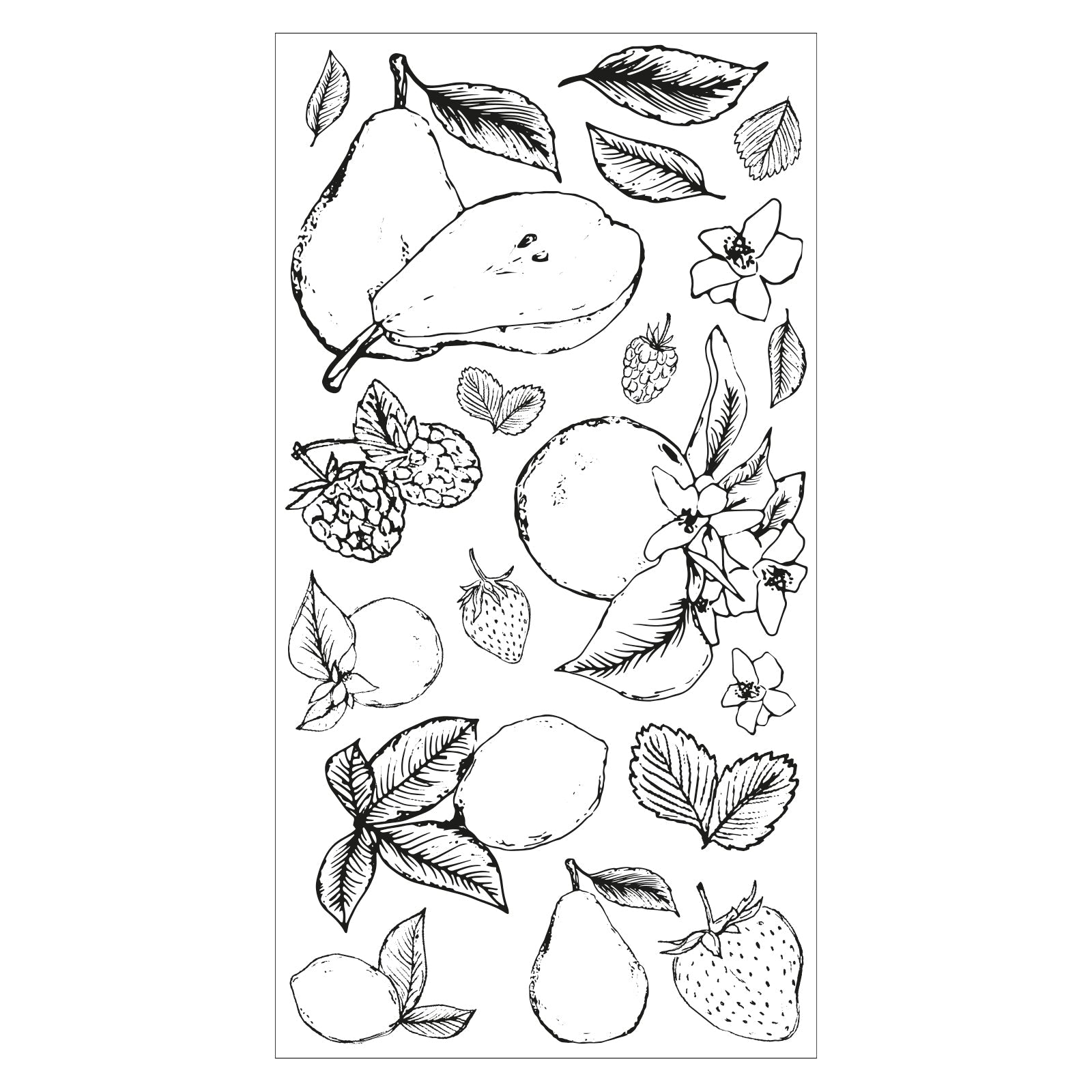 Sizzix Stempel-Set – Früchte – 19-teilig – 80 × 50 mm – Schwarz, Weiss