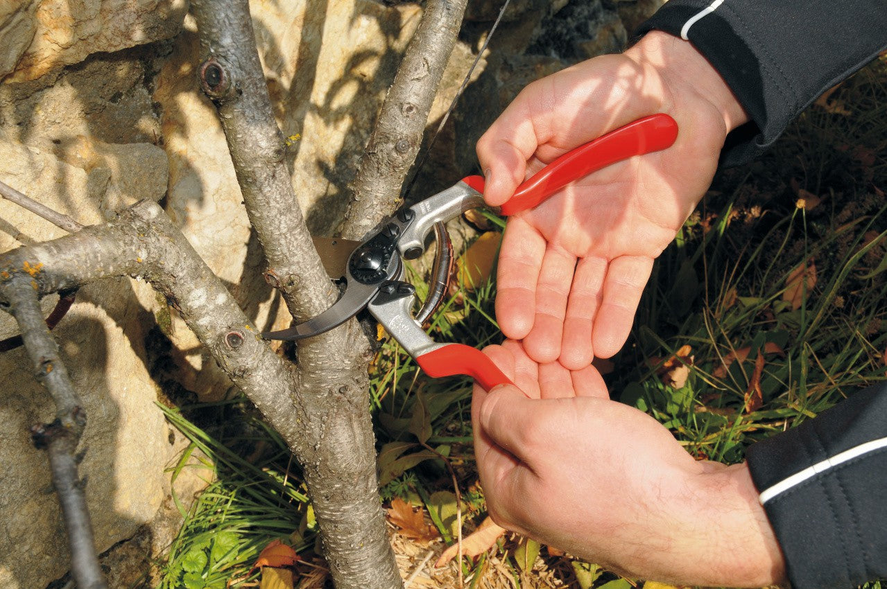 Felco 13 – Gartenschere Schnittbreite 30 mm, Aluminiumgriff, Amboss, Rot