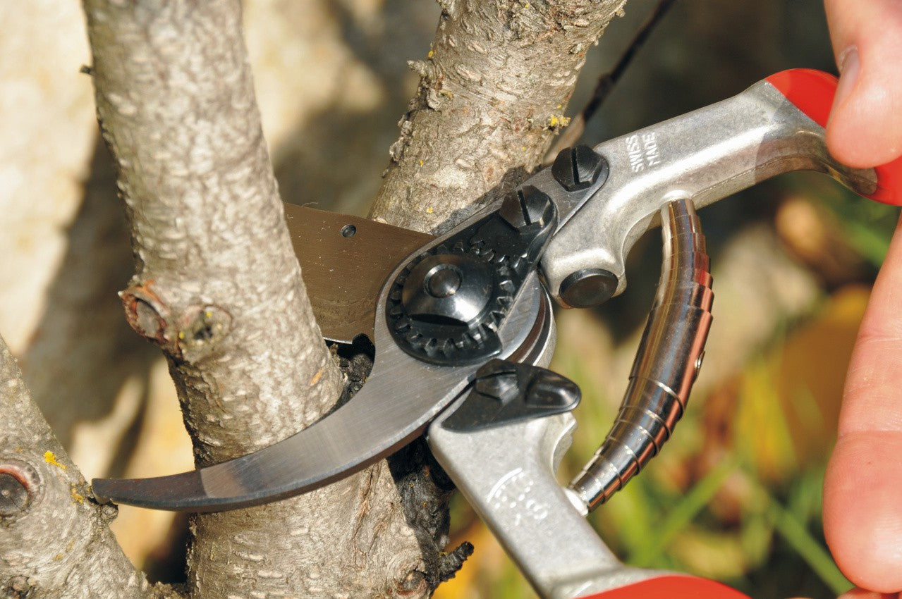 Felco 13 – Gartenschere Schnittbreite 30 mm, Aluminiumgriff, Amboss, Rot