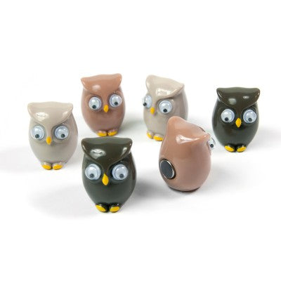 Trendform OWL FW3542 Magnete – 20 × 16 × 16 mm – 6 Stück, Kunststoff, mehrfarbig, für Magnetwände