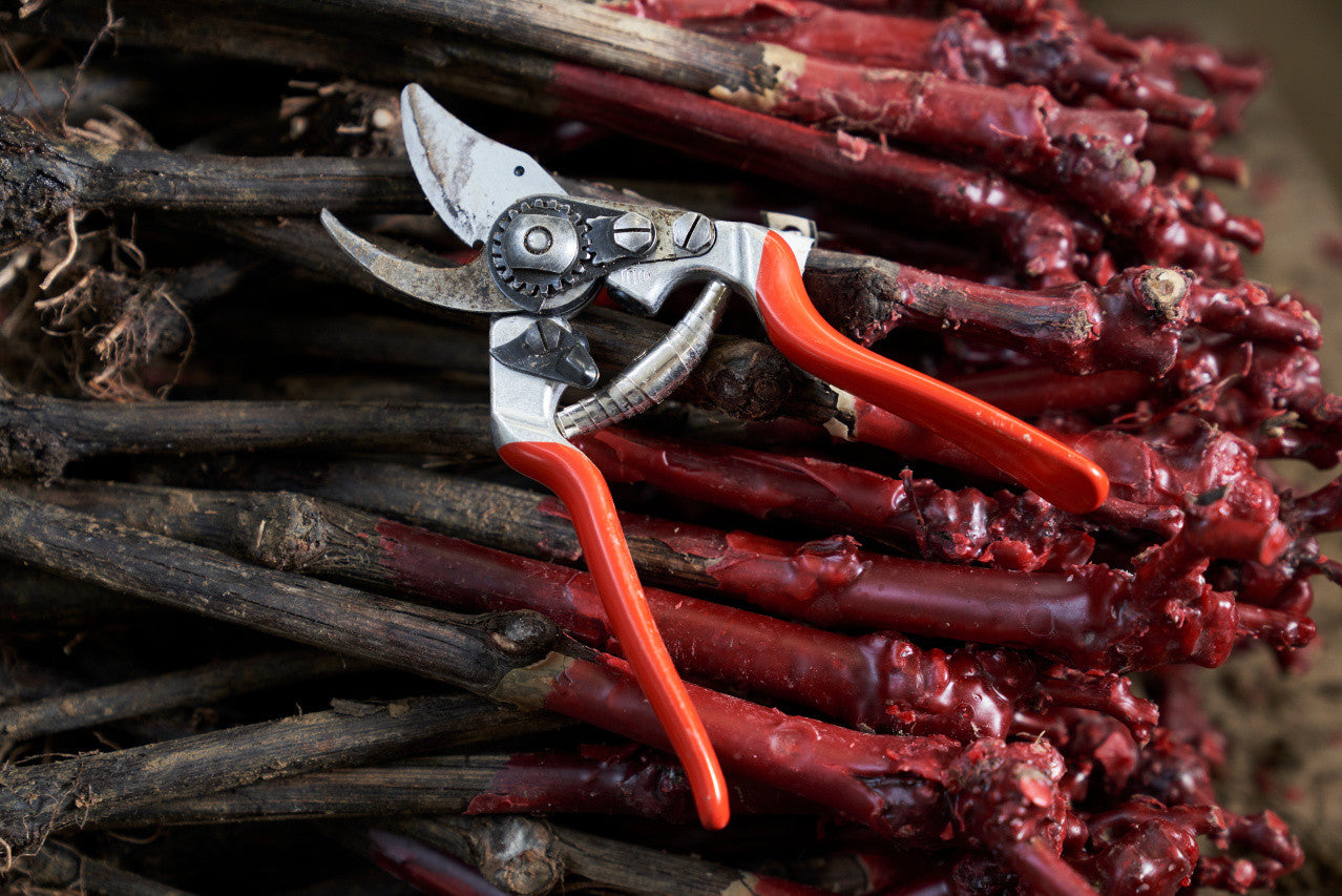 Felco 14 – Gartenschere 18 mm, Aluminiumgriff, Bypass, Sicherheitssperre, Rot