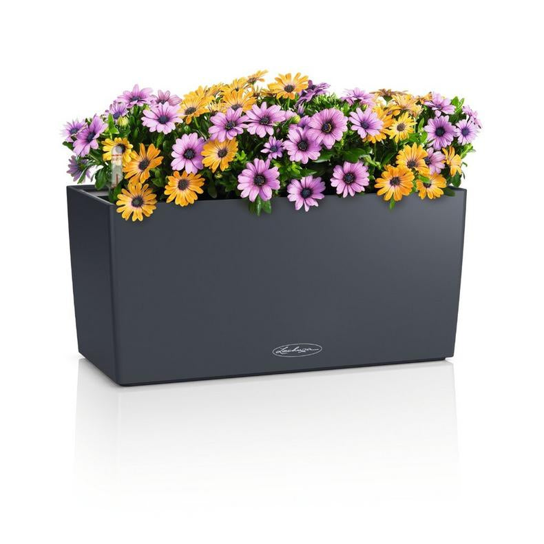 LECHUZA Topfpflanzer – 40 × 19 × 19 cm – Kunststoff, grau
