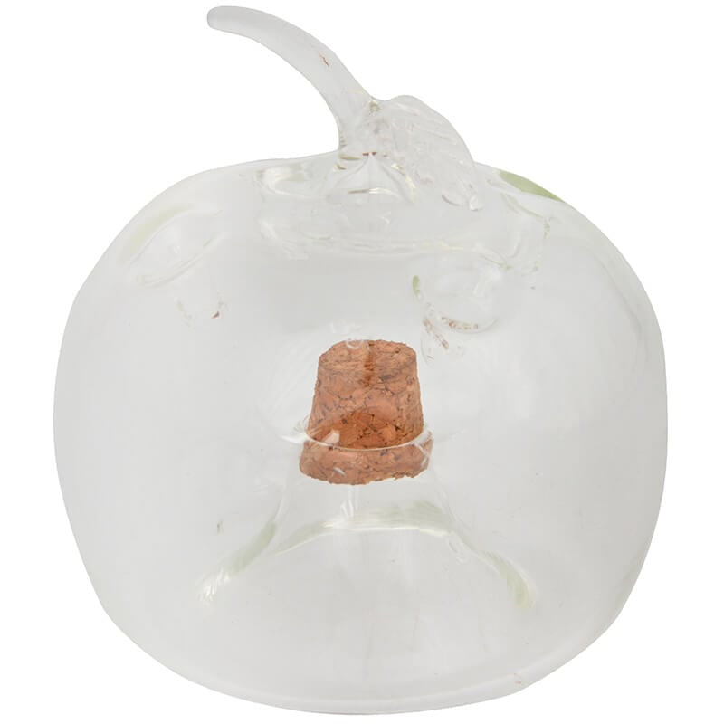 Esschert Design Insektenfalle Apfel – 0,9 × 1,0 cm – transparent – Glas – für Fluginsekten
