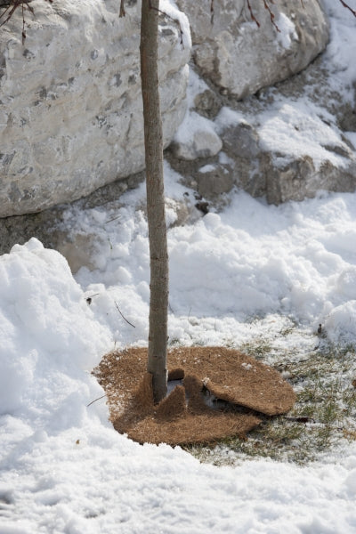 Windhager Mulchscheibe Cocodisc – Kokosfaser, 60 × 60 cm, Braun