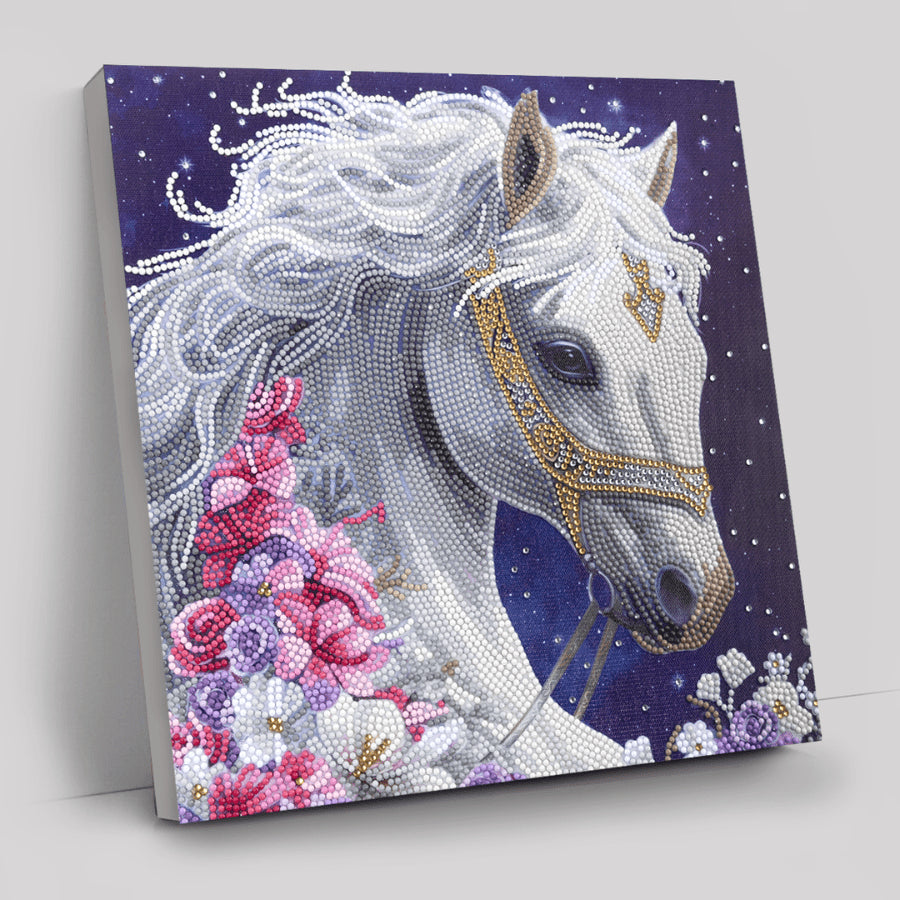 CRAFT Buddy Mystic Beauty – Diamond Painting Set – Pferd – 30 × 30 cm – ab 8 Jahren