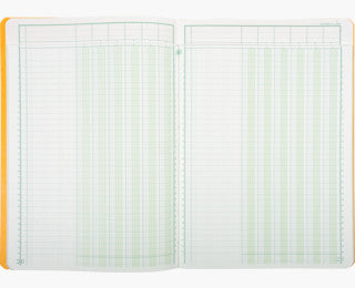 Exacompta Spaltenbuch – A4 – 110 g/m², 40 Blatt, 6 Spalten pro Seite, grüne Linierung (34 Zeilen)