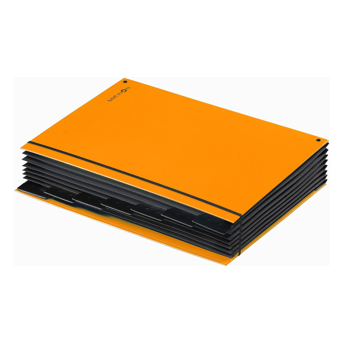 Pagna Fächermappe A4 – 7 Fächer, Gummiband, Karton, Polypropylen (PP), orange, Schaulöcher