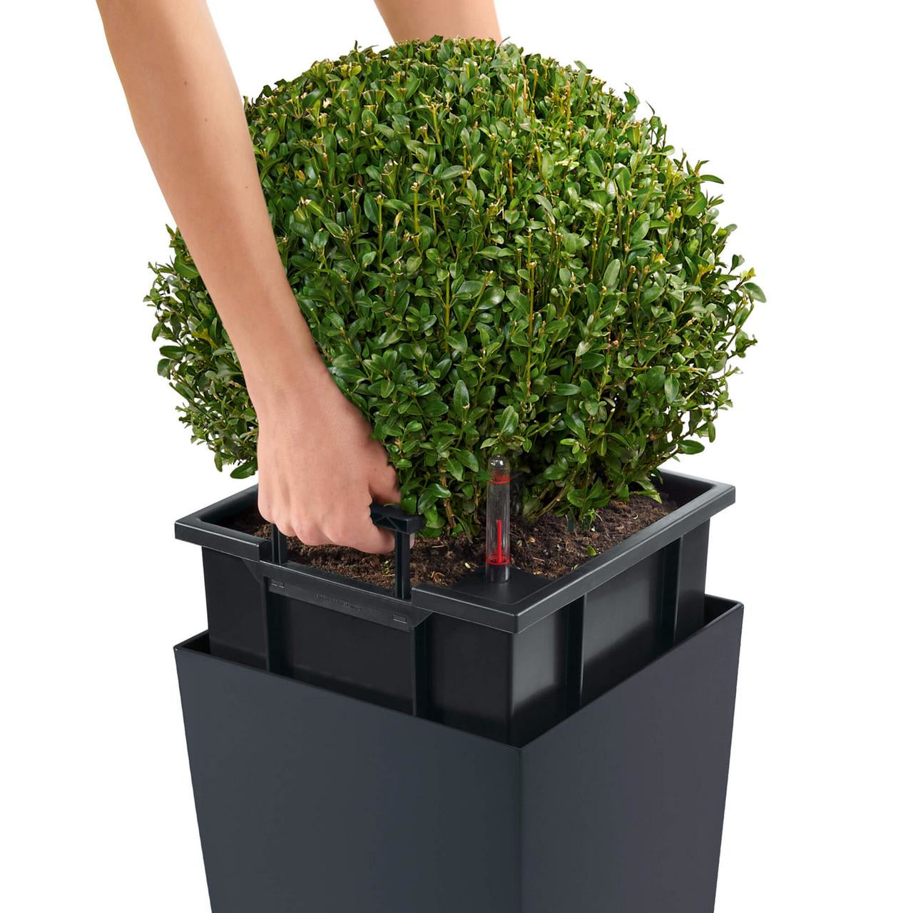 LECHUZA Topfpflanzer – 22 × 22 × 41 cm – Polypropylen & Kunststoff, dunkelgrau