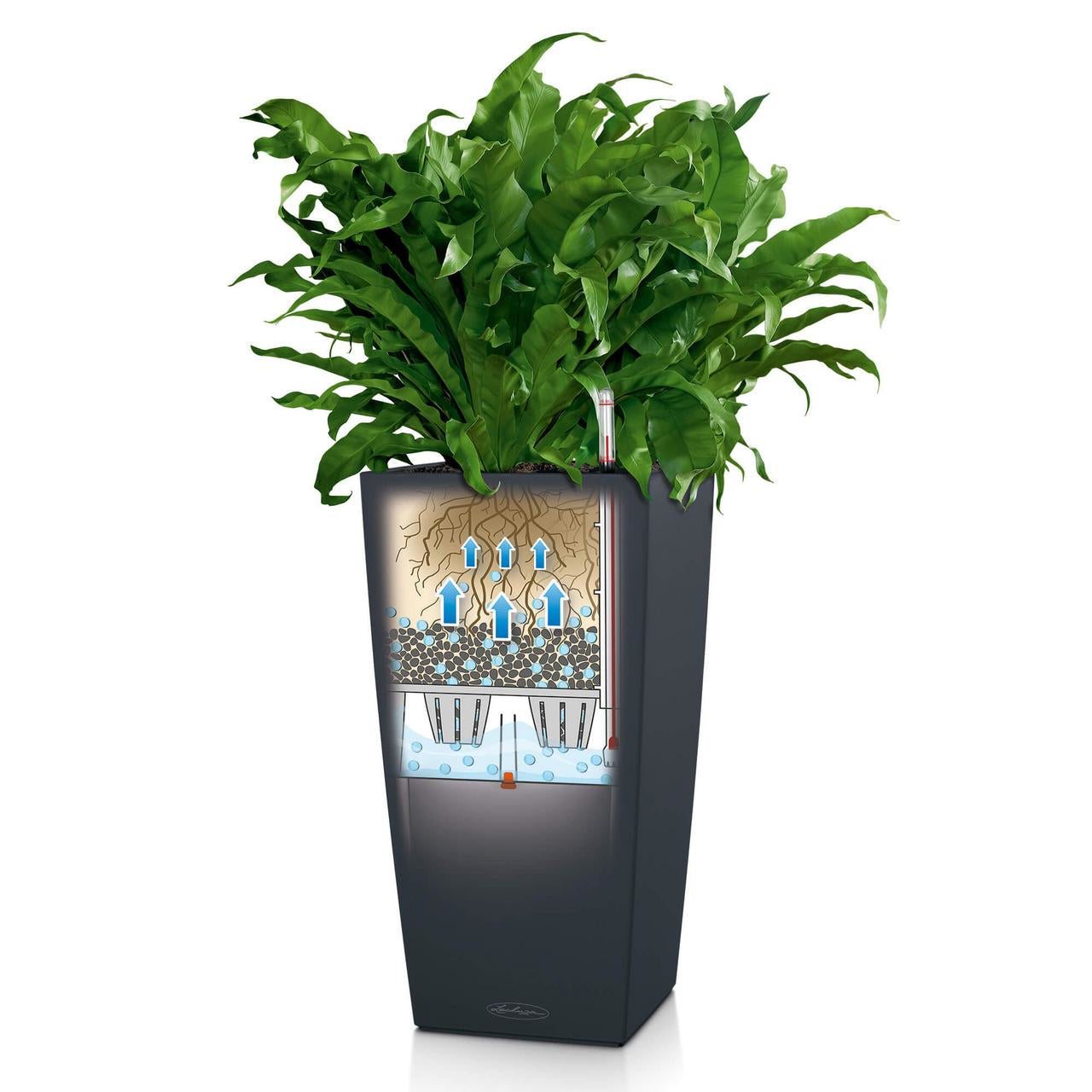LECHUZA Topfpflanzer – 22 × 22 × 41 cm – Polypropylen & Kunststoff, dunkelgrau