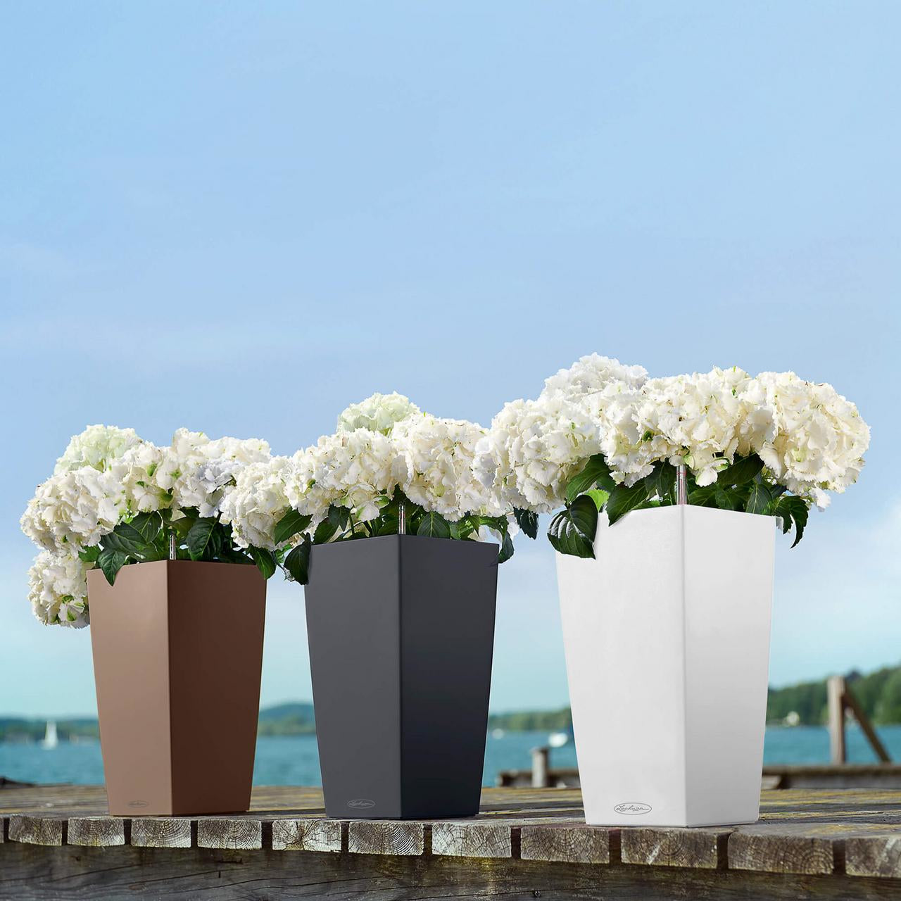 LECHUZA Topfpflanzer – 22 × 22 × 41 cm – Kunststoff, weiss