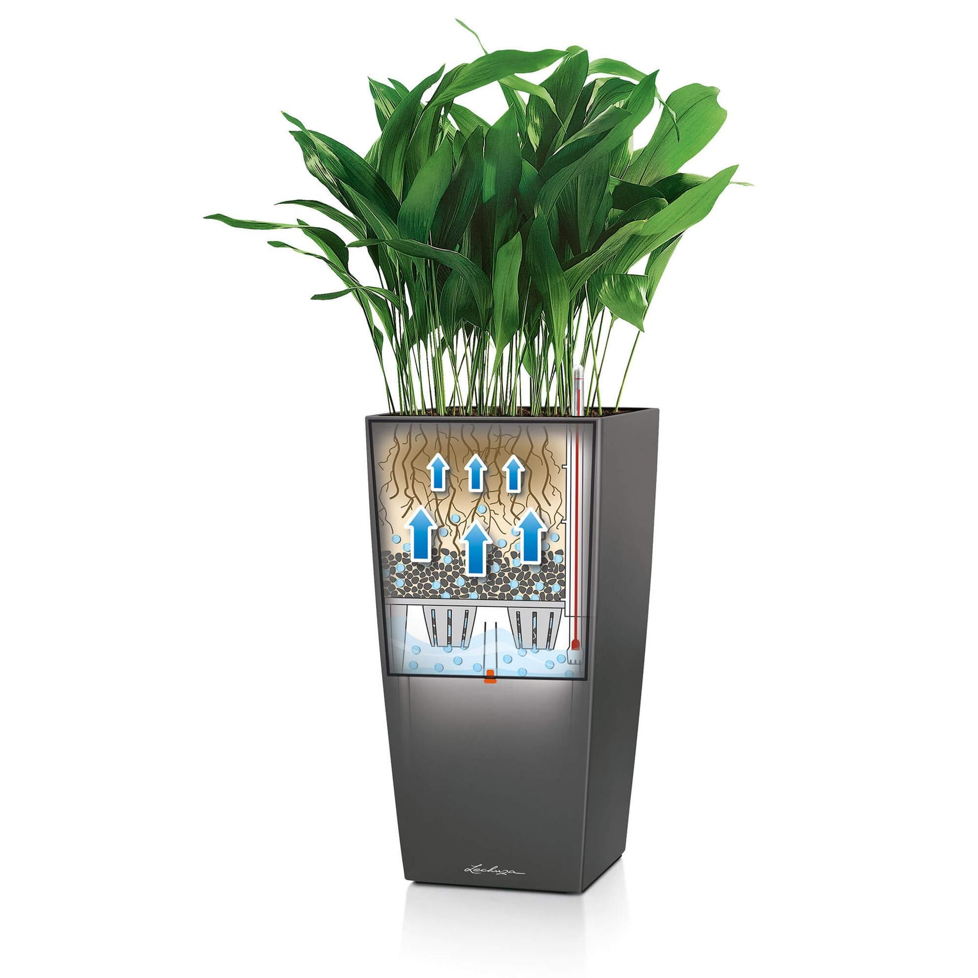 LECHUZA Cubico Premium 30 Topfpflanzer – 14 l – Polycarbonat & Polypropylen, silber
