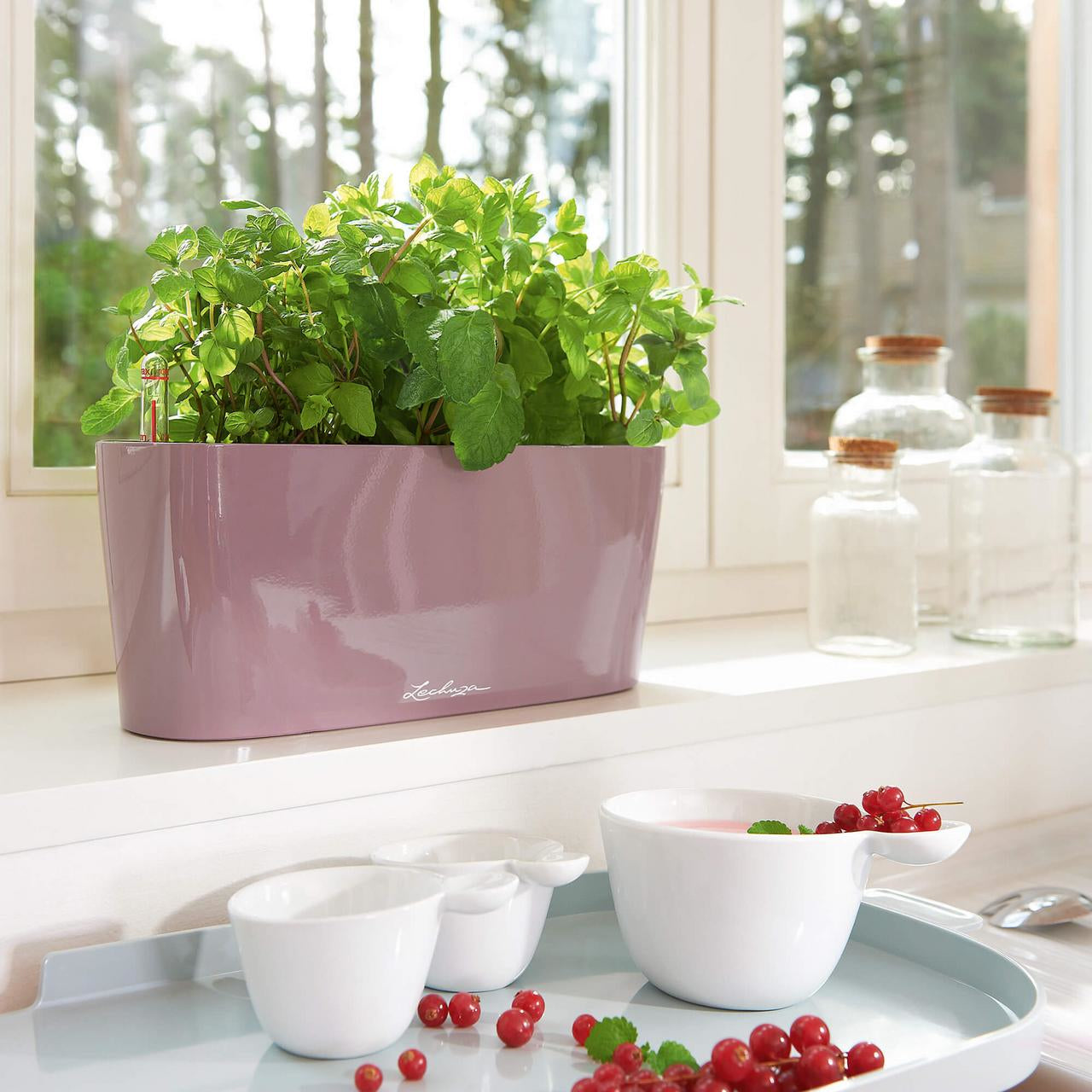 LECHUZA Pflanzgefäss – 30 × 13 × 11 cm – Polycarbonat & Polypropylen, Anthrazit