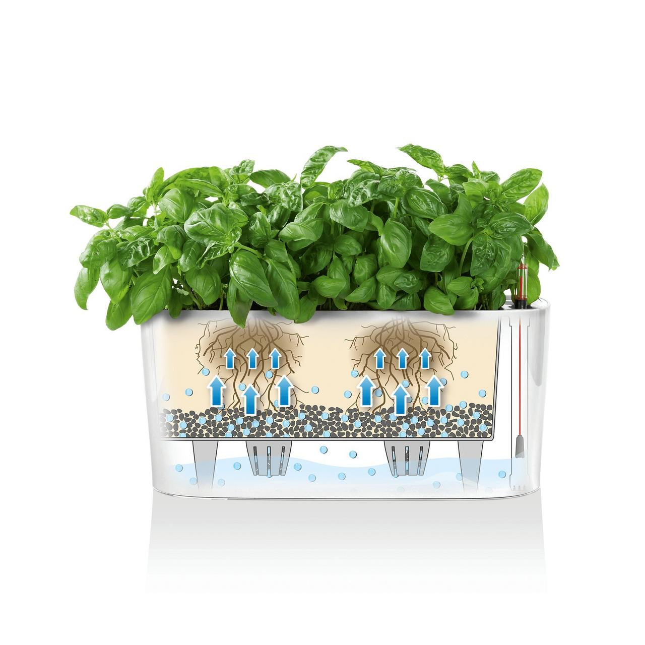 LECHUZA Pflanzgefäss – 40 × 15 × 18 cm, 5000 ml – Polypropylen & Kunststoff, braun