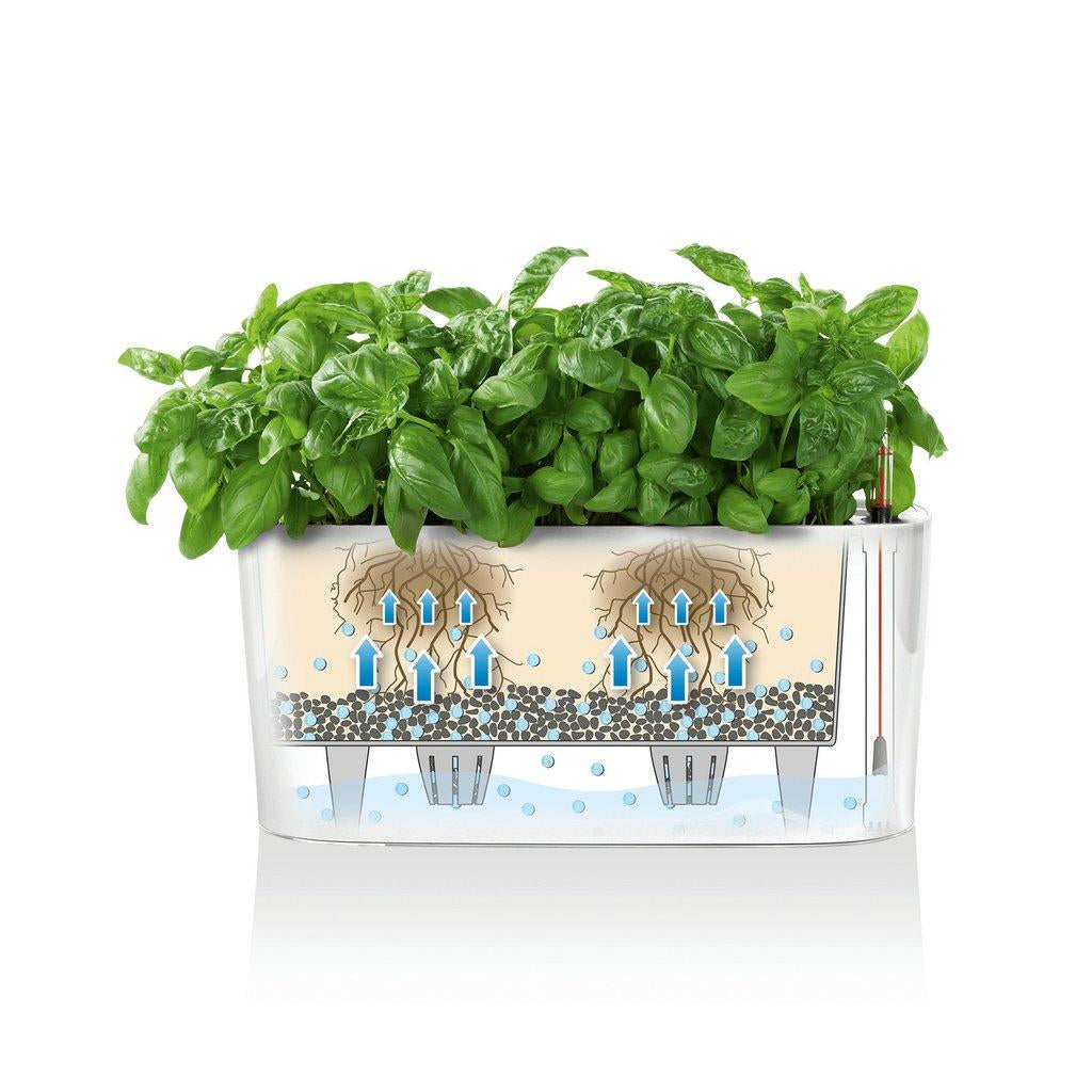 LECHUZA Pflanzgefäss – 5 l, 40 × 18 × 15 cm – Polypropylen & Kunststoff, Rot