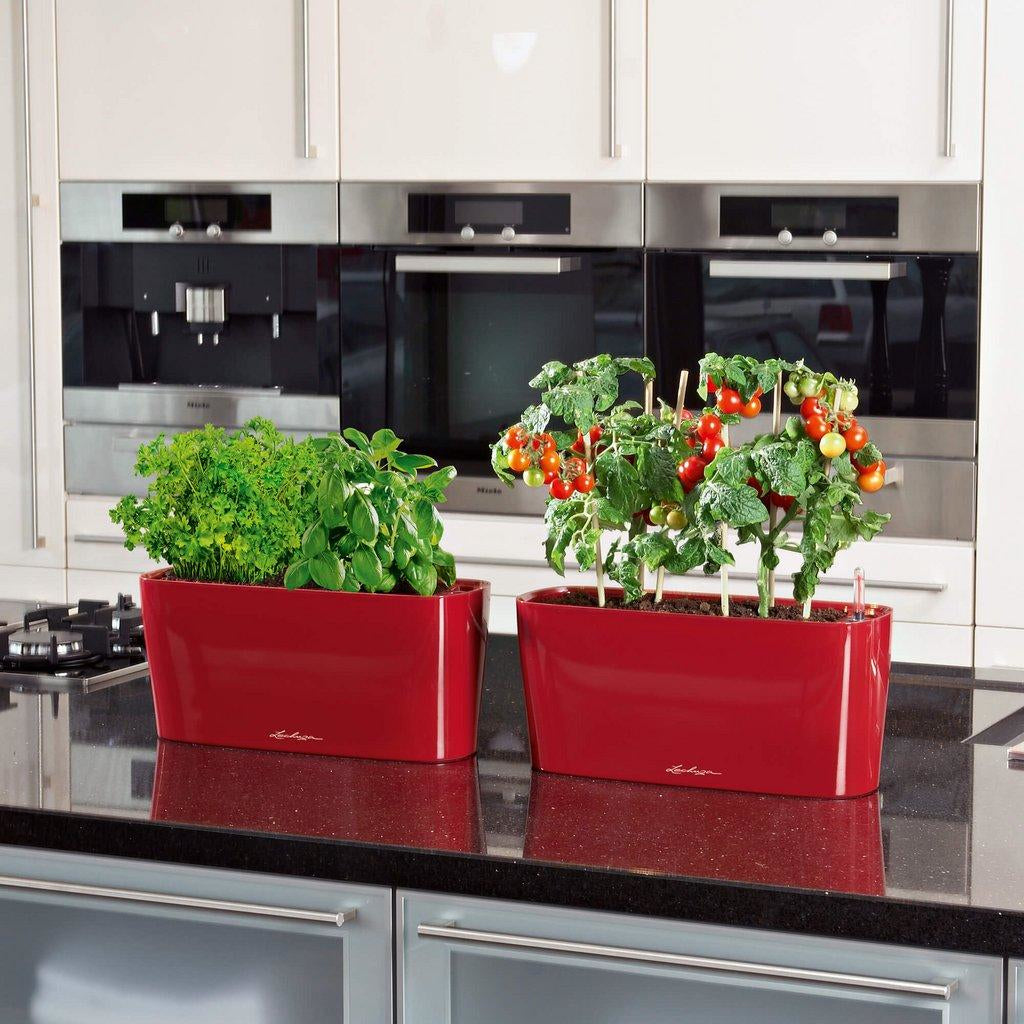 LECHUZA Pflanzgefäss – 5 l, 40 × 18 × 15 cm – Polypropylen & Kunststoff, Rot
