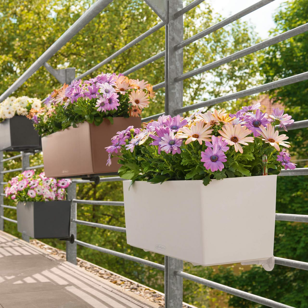 LECHUZA Balconera Color 80 Pflanzgefäss – 79 × 19 × 19 cm – Kunststoff, braun