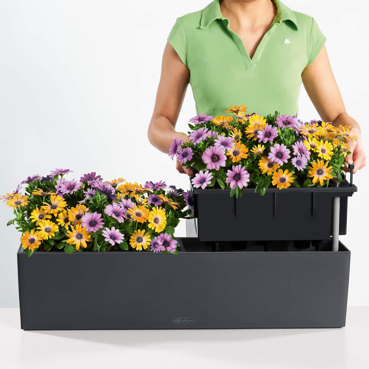 LECHUZA Balconera Color 80 Pflanzgefäss – 79 × 19 × 19 cm – Kunststoff & Polypropylen, weiss